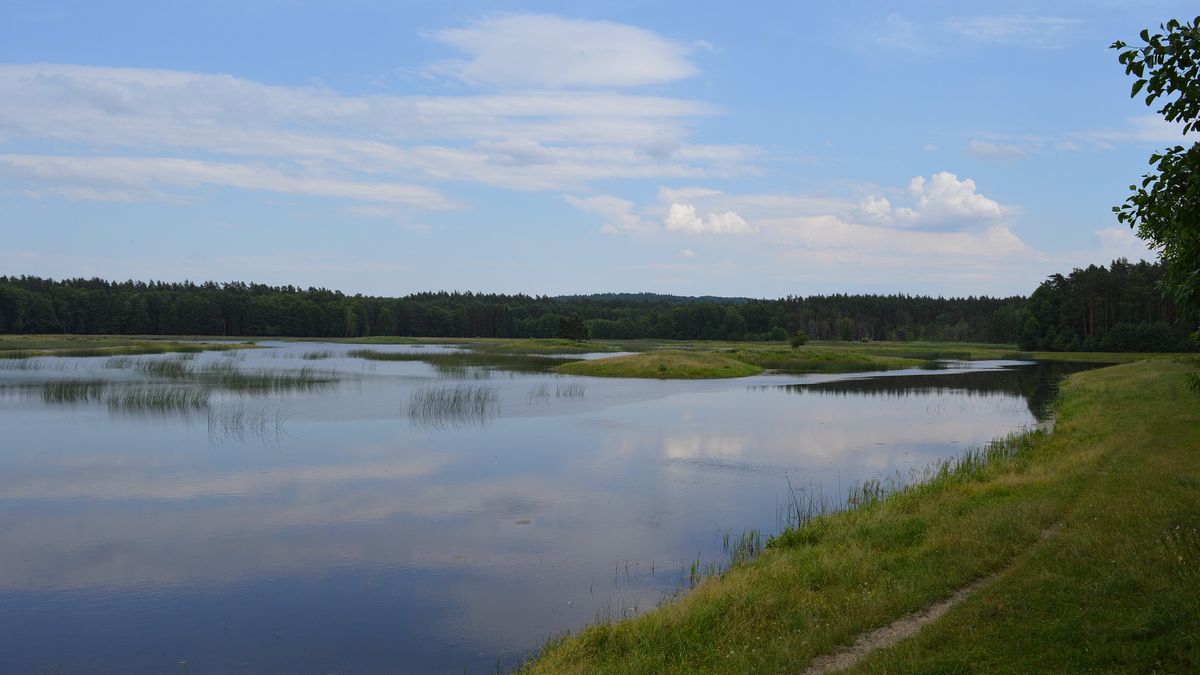 Zdjęcie ilustracyjne 