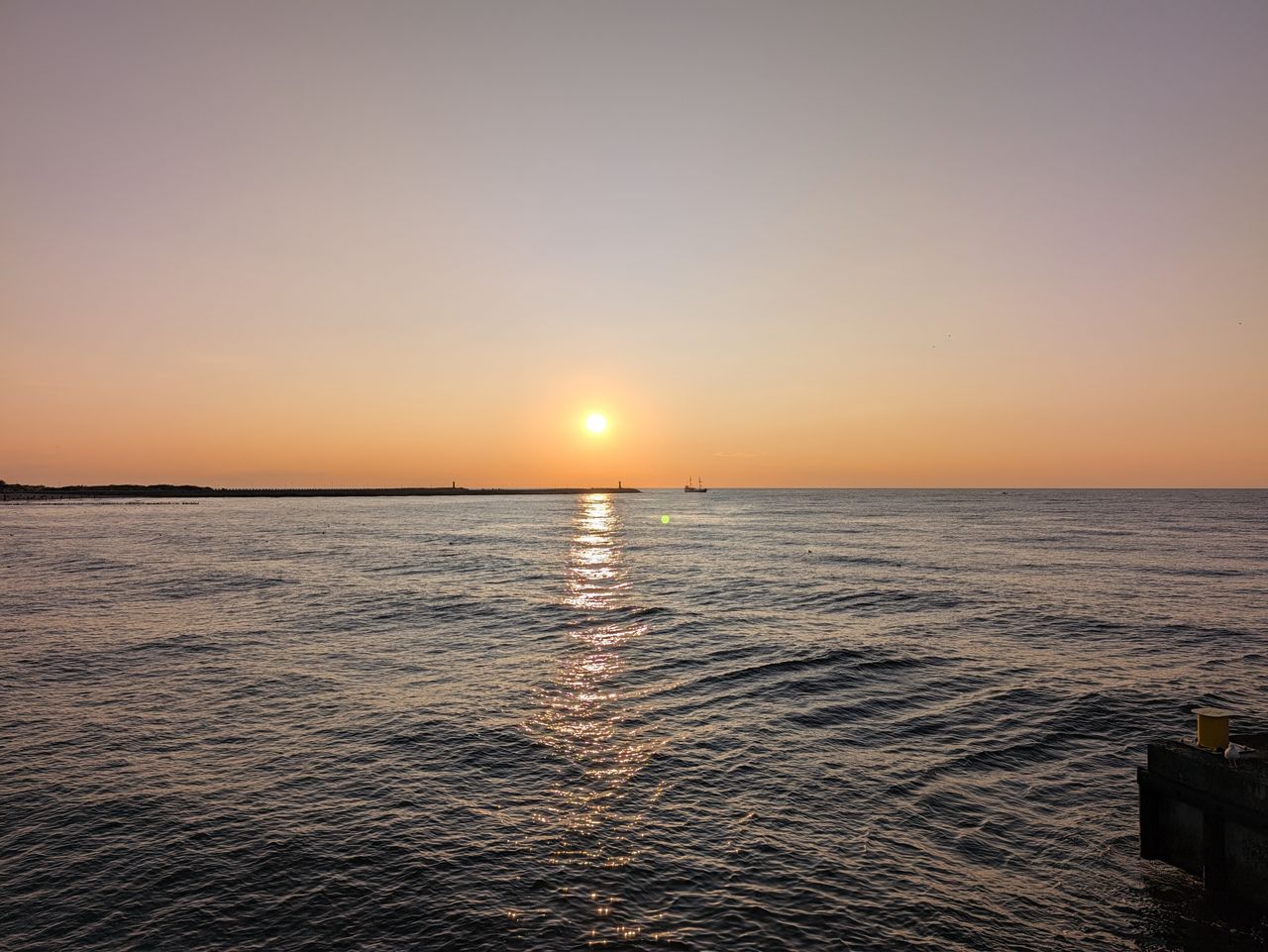 Pixel 11 Pro XL