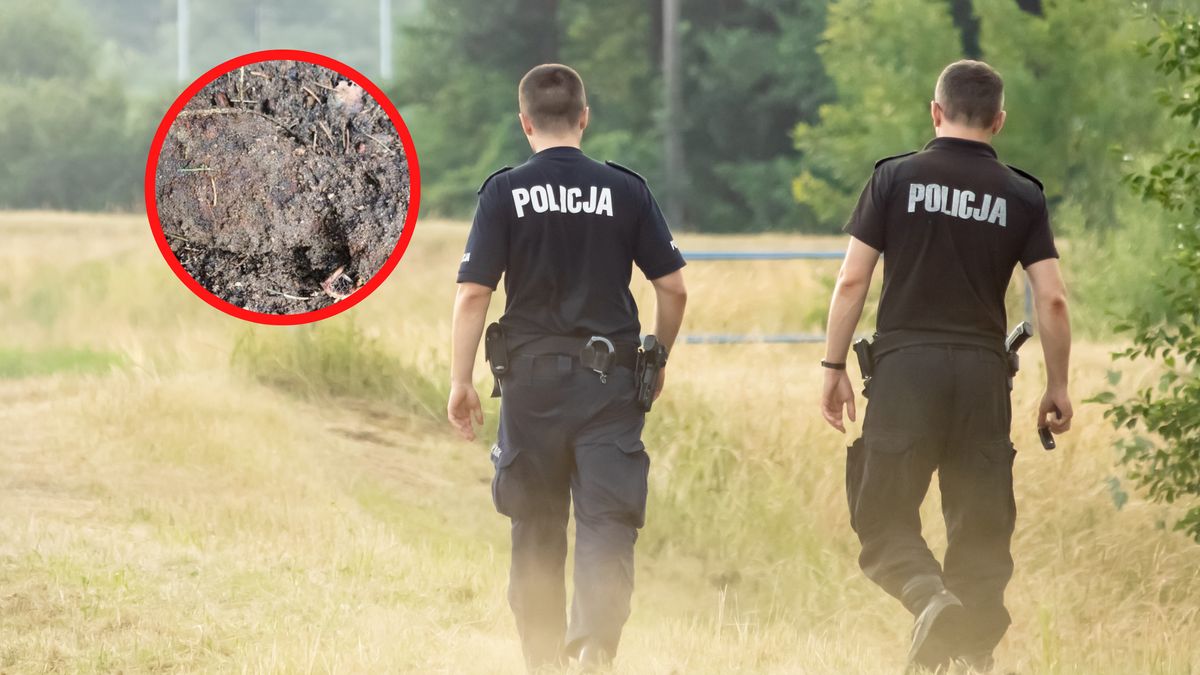 Zaskakujące odkrycie w lesie.