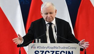 Kaczyński o rządach PO-PSL. "Ludzie byli tak biedni, że zbierali kartofle zasadzone dla dzików"