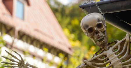 Halloweenowe "psikusy" mogą naruszać prawo. Policja ostrzega