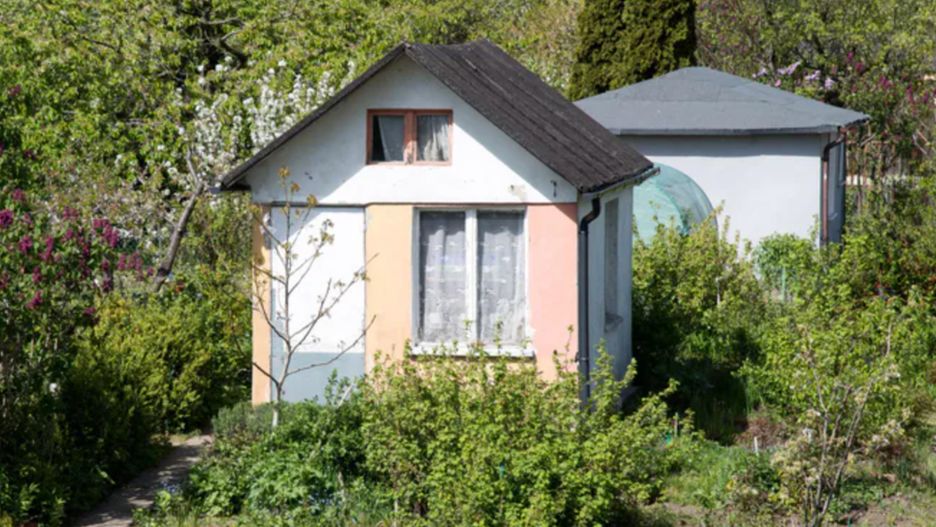 Za "abisynkę" na działce grozi wysoki mandat