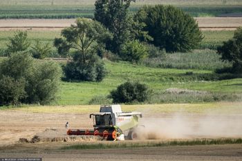 Mówi, że pracują u niego żołnierze. Oto ile płaci im za żniwa