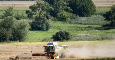 Mówi, że pracują u niego żołnierze. Oto ile płaci im za żniwa