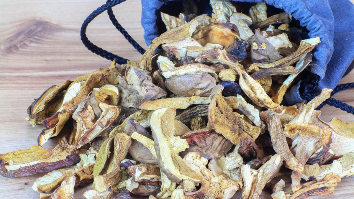 Jaką wodą zalewać grzyby?