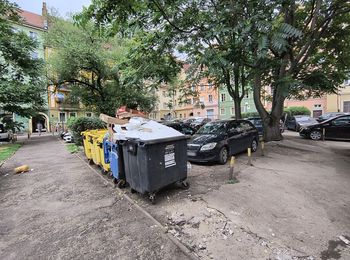 Wrocław: Życie w cieniu szczurów i śmieci. Mieszkańcy podwórka między Psimi Budami a pl. Solnym mają dość