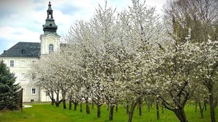 Zabór: Bajeczny park po rewitalizacji