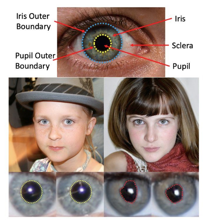 Porównanie prawdziwych źrenic z tymi wygenerowanymi przez deepfake