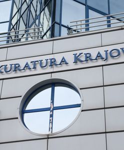 "Sprawa Hermesa". NIK weszła do Prokuratury Krajowej