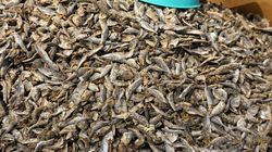 Suszone rybki - naturalne źródło białka, wapnia i kwasów omega-3 w wygodnej wersji