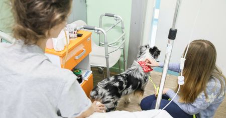 Przewlekły stres a rozwój nowotworów. Co odkryli naukowcy?