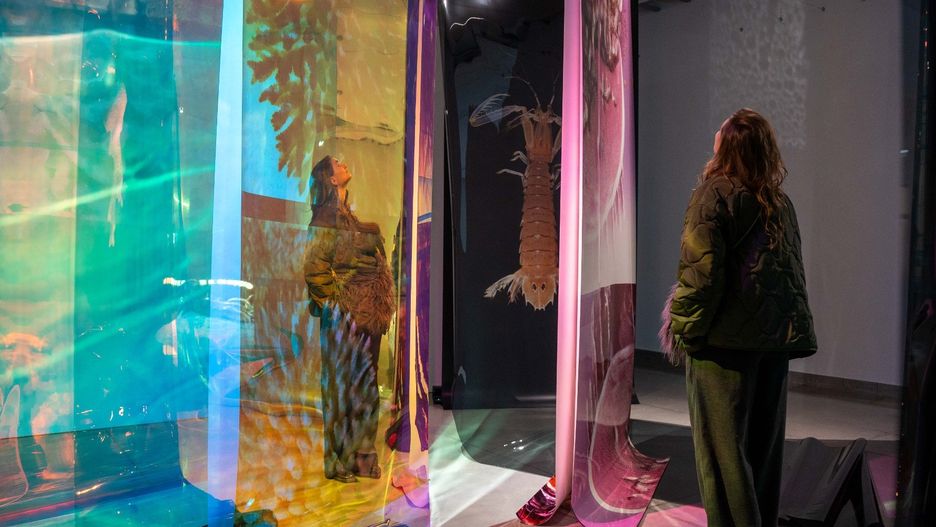 &#34;W głębi&#34;. Wernisaż w Państwowej Galerii Sztuki w Sopocie