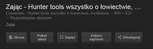 Tak było jeszcze do niedawna w wyszukiwarce obrazków Google'a