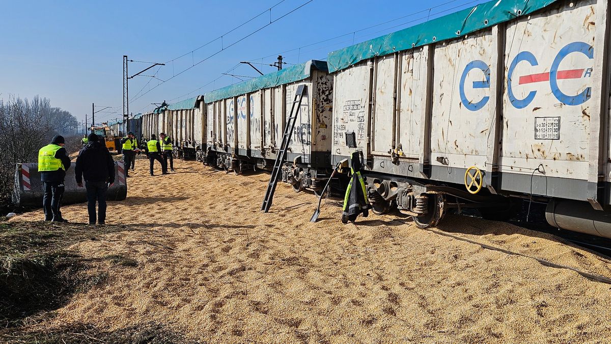Rozsypane zboże pod Bydgoszczą