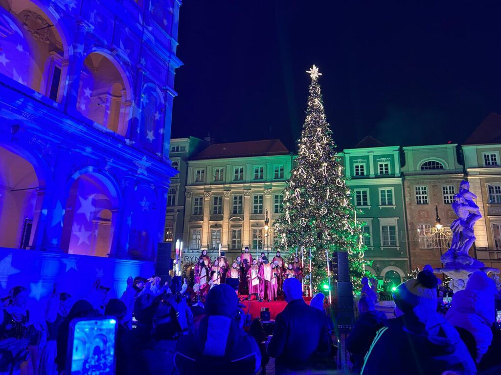 Poznań: Na Starym Rynku rozbłysła choinka
