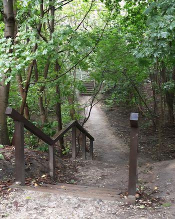 Łódź: Park Jordanka  przejdzie metamorfozę! Zamiast betonu - ogród