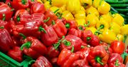 Wysłali paprykę do Polski, zarobili 716 mln zł. Padł rekord