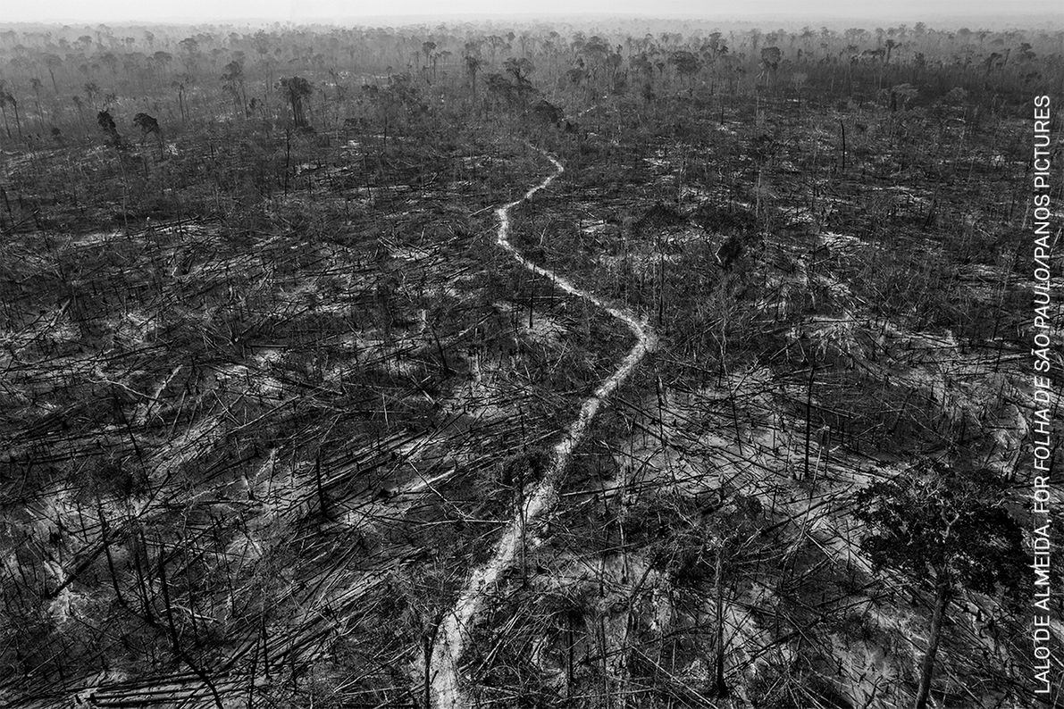 World Press Photo 2022: Poznaj najlepszych fotografów różnych kontynentów 108
