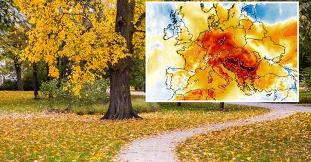 Zima coraz bliżej? Mamy długoterminową prognozę