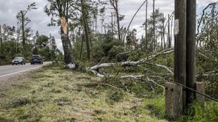 Wichura w Kujawsko-Pomorskiem! Drzewo spadło na samochód w miejscowości Wyrwa pod Świeciem. Droga zablokowana