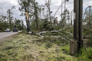 Wichura w Kujawsko-Pomorskiem! Drzewo spadło na samochód w miejscowości Wyrwa pod Świeciem. Droga zablokowana