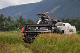 Koronawirus wstrzymuje przepływ pracowników sezonowych. Zabraknie rąk do zbiorów