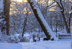"Troll z Trondheim" uderzył w Wyspy