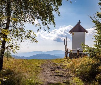 Zdewastowali przydrożne kapliczki. Będzie dochodzenie