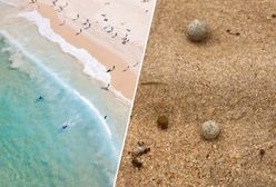 Pojawiły się tajemnicze kulki. Władze zamykają plaże