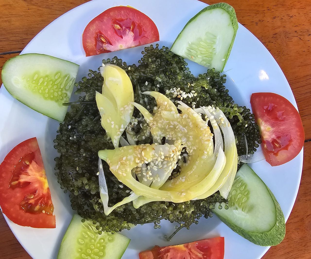 Umi Budo (Caulerpa lentillifera) to wodorosty morskie wyglądem przypominające kiść winogron, stąd też ich potoczna nazwa – winogrona morskie