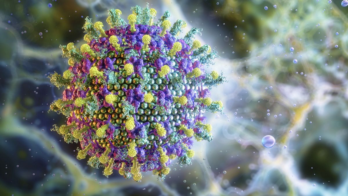 Wirus Nipah - 5 przypadków w Indiach