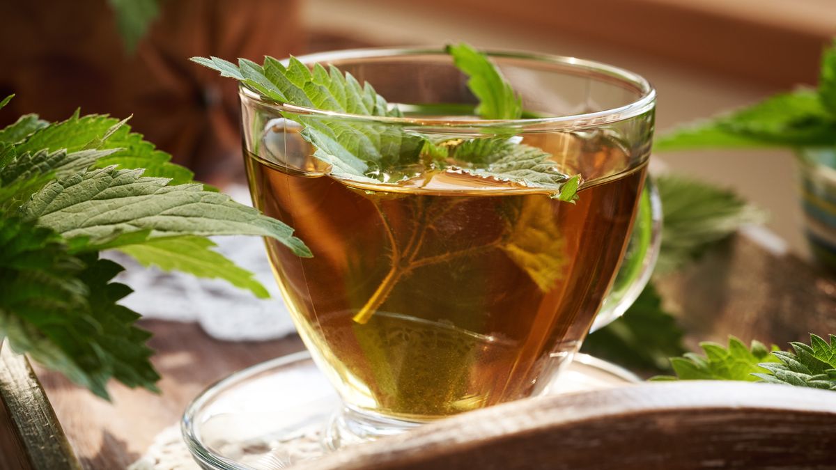 Napar z pokrzywy może zdziałać cuda