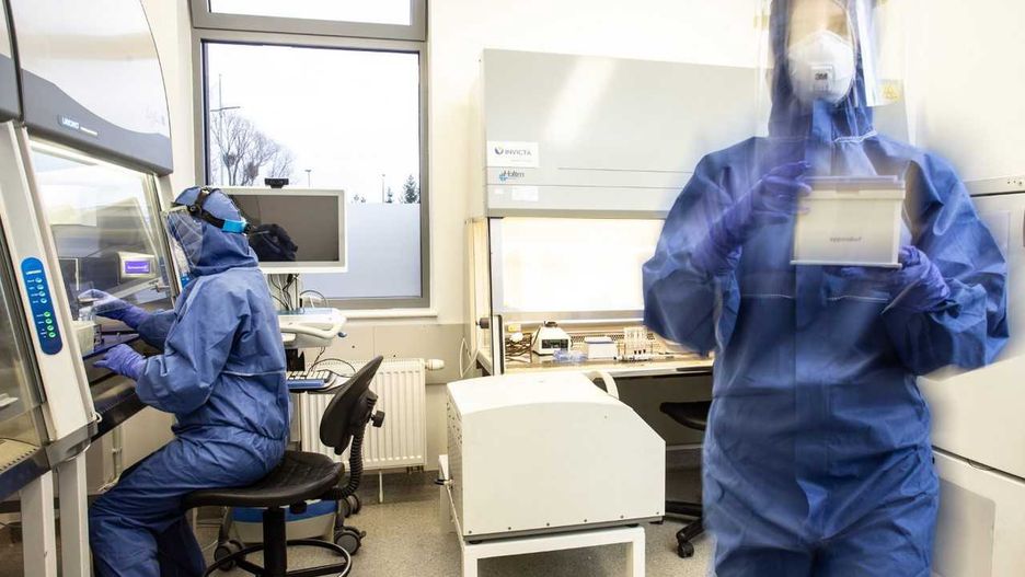 Koronawirus w Polsce i na świecie. Szef WFO o powstaniu skutecznej szczepionki