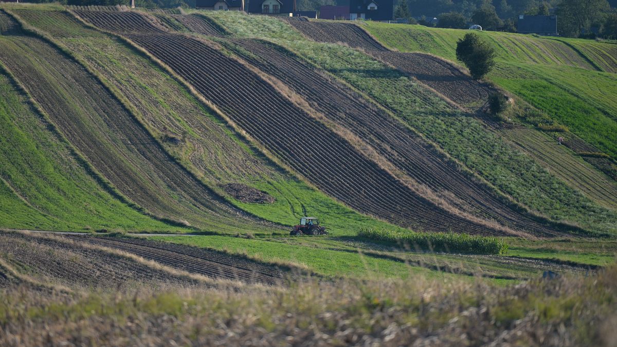 Zagraniczne media rozpisują się o polskiej wsi