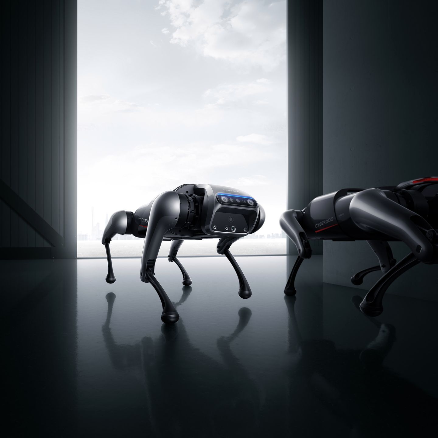Xiaomi CyberDog to nowy pupil firmy. Kosztuje mniej niż budżetowa samoróbka 9