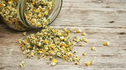 Rumianek rzymski - właściwości prozdrowotne