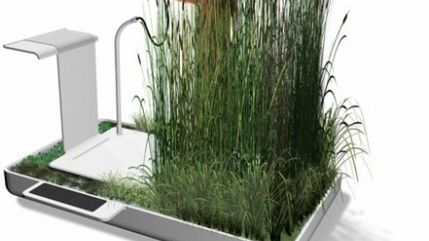 Kąpiel wśród szuwarów - we własnej łazience 1