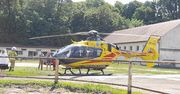Wypadek w Stadzie Ogierów w Łącku!