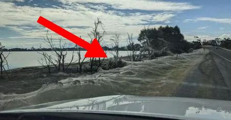 "Apokalipsa". Internauci pokazują, co się dzieje w Australii