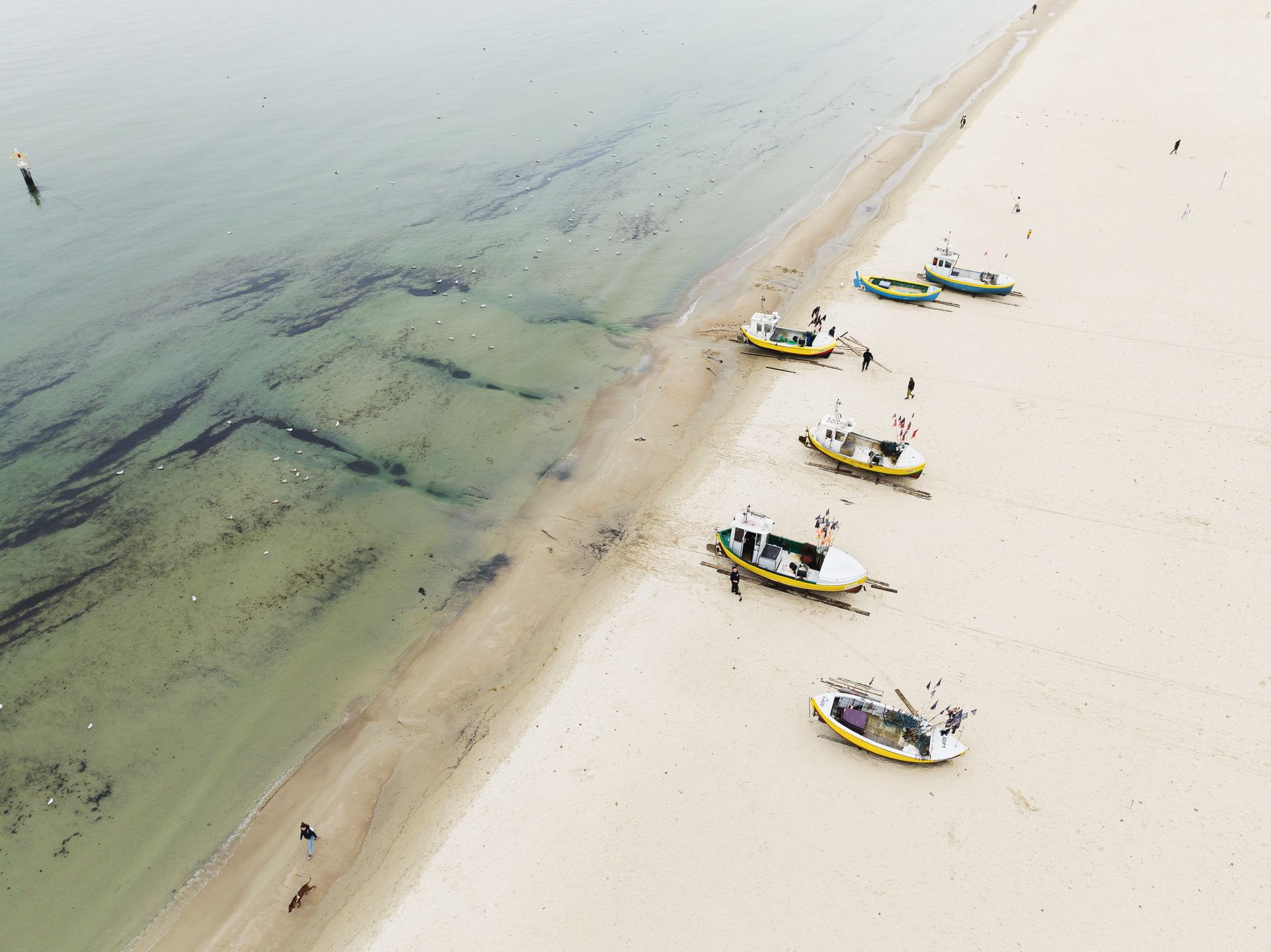 Sopot