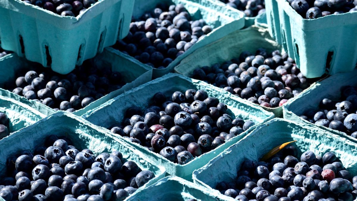 W Krakowie, borówki z Rumunii były sprzedawane jako polskie