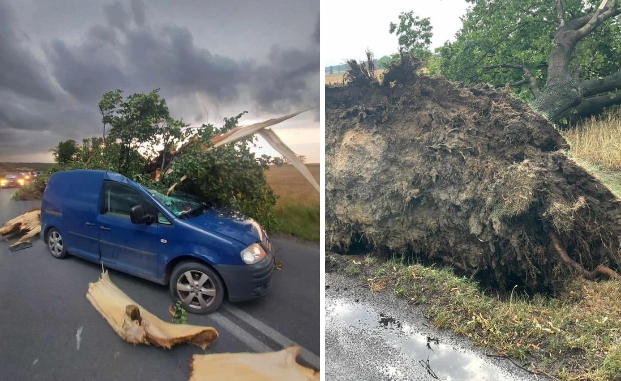 Potężny żywioł nad Polską. Powalone drzewa i pozrywane dachy