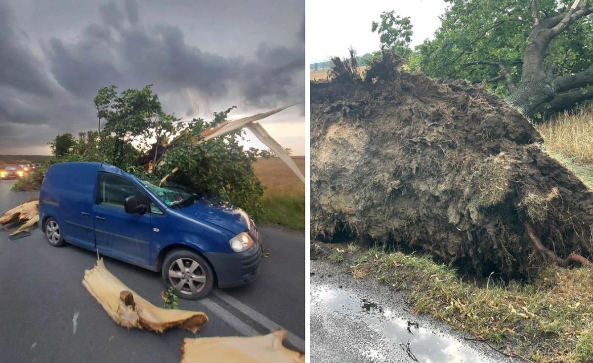 pogoda, burze, ekstremalne burze, straż pożarna Potężny żywioł nad Polską. Powalone drzewa i pozrywane dachy