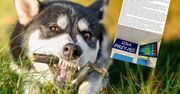 Pogryzł go pies sąsiadów. Oto co zastał na SOR