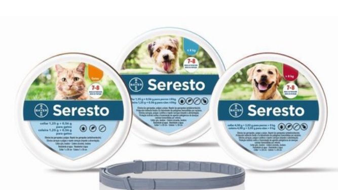 Obroże Seresto na celowniku. Ujawniono skalę zgonów u zwierząt