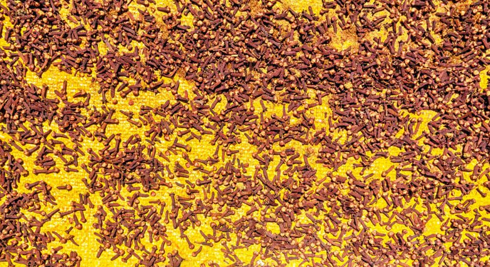 Dodaj łyżeczkę do wody. Pij, gdy brzuch wygląda jak balon