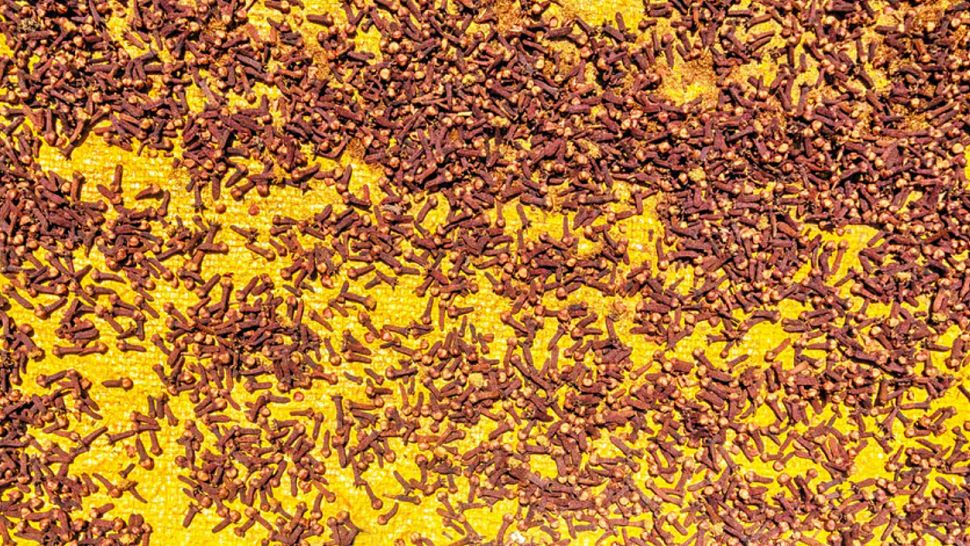 Wystarczy jedna łyżeczka. Problem wzdęć znika