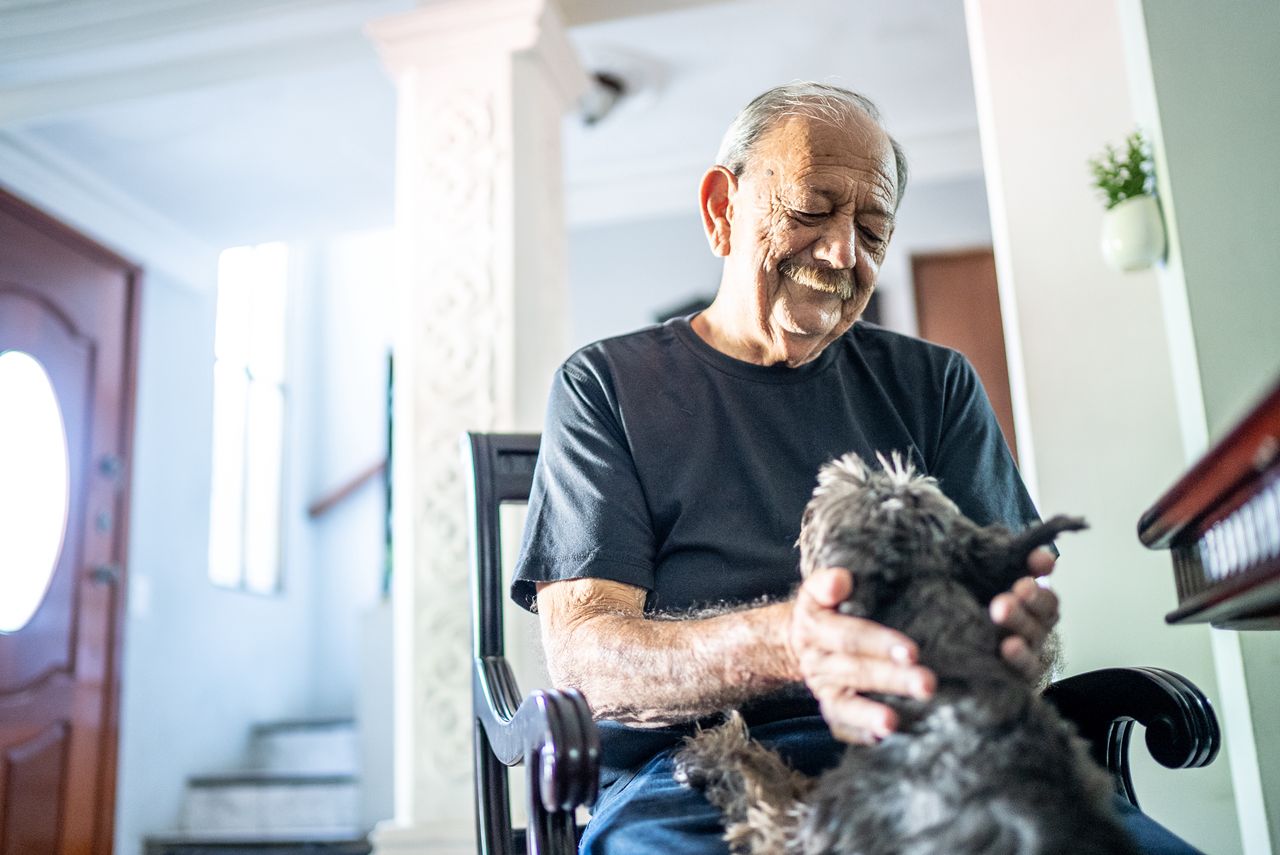 Having animals can bring us many benefits.