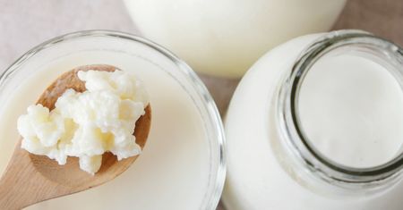 Co wybrać? Kefir, maślanka czy zsiadłe mleko - czym się od siebie różnią?