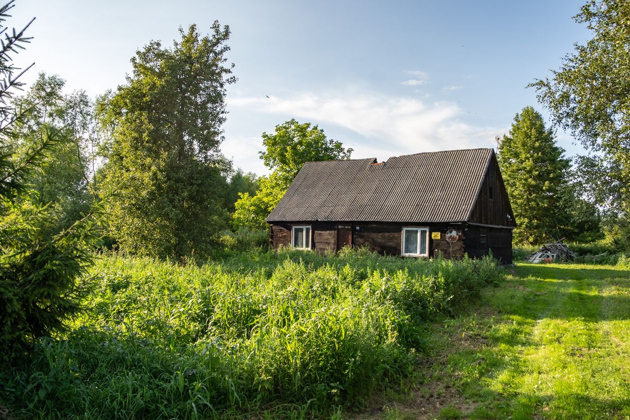 Zabudowania w Żuławce